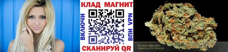 Где купить Ефремов Codein  Alpha PVP  Меф  ГАШ  кракен   Амфетамин 