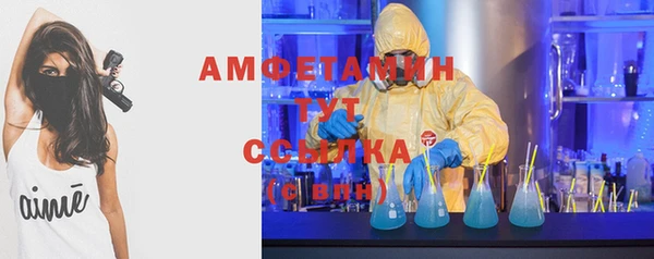 твердый Вяземский