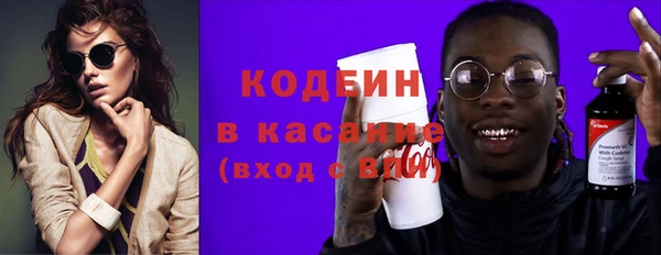 твердый Вяземский
