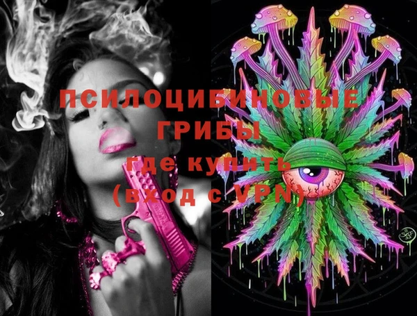 apvp Вязьма