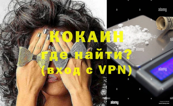твердый Вяземский