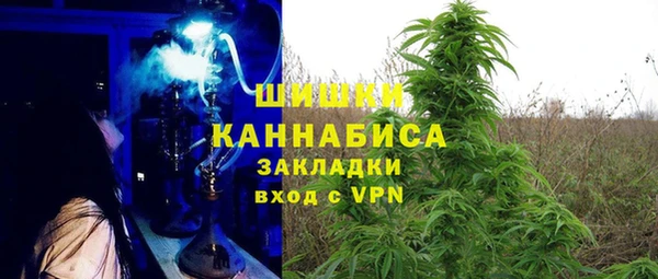 apvp Горнозаводск