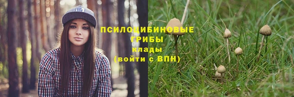 спиды Вязники