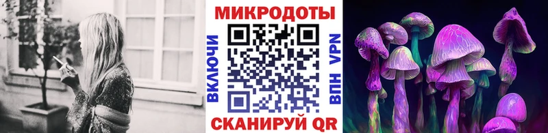 Псилоцибиновые грибы Cubensis  Ефремов 