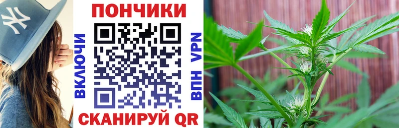купить  сайты  Ефремов  МАРИХУАНА SATIVA & INDICA 